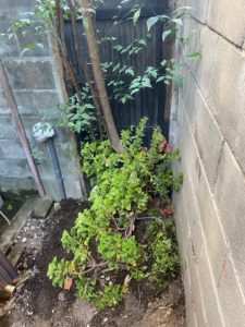 生活にお人柄って出ますね！　（吹田市）