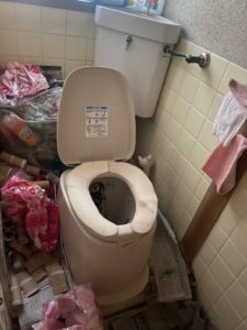 トイレもゴミの山