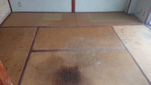 和歌山のゴミに埋もれたマンションで。。。Part 2